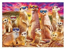 3d livelife poster cool meerkats