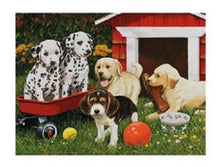 3d livelife poster puppy playmates