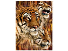 3d livelife poster tiger stripes