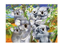 3d livelife poster koala cuddle