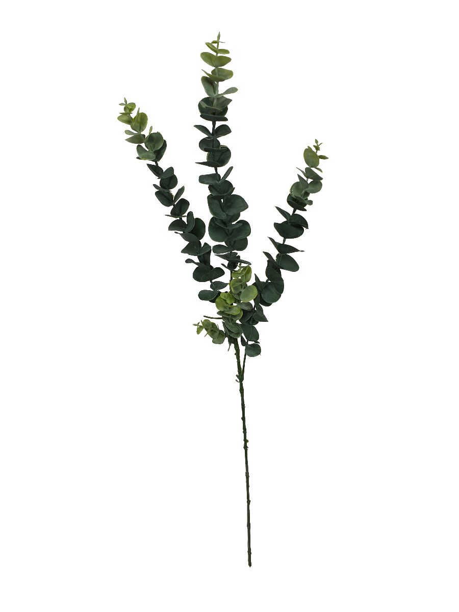 5 Pack - Long Eucalyptus Stem 77 cm