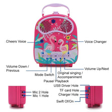 GOMINIMO Kids Portable Karaoke with Two Microphones (Rectangle, Pink Flamingo)