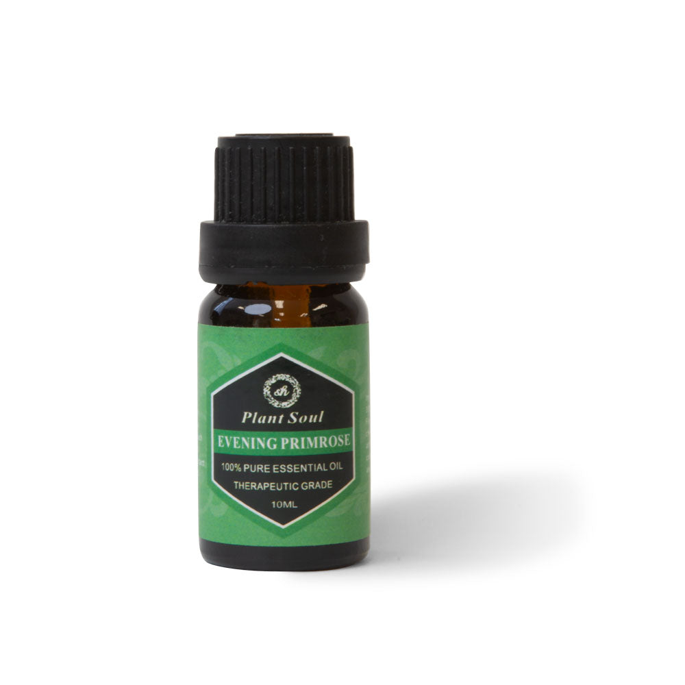 Evening Primrose Essential Oil 10ml Bottle -  Aromatherapy