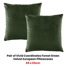 Bianca Pair of Vivid Coordinates Forest Green Velvet European Pillowcases