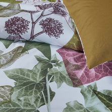 Bedding House Ivy Multi Cotton Quilt Cover Set King