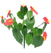 Red Anthurium Bunch UV