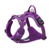 No Pull Harness Purple L