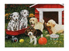 3d livelife poster puppy playmates