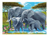 3d livelife poster pachyderm pals