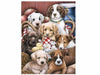 3d livelife poster puppy pals